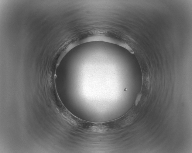 X0000078280556200611172059