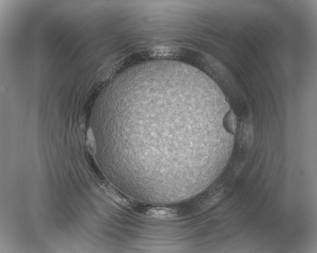 X0000078280557200611172059