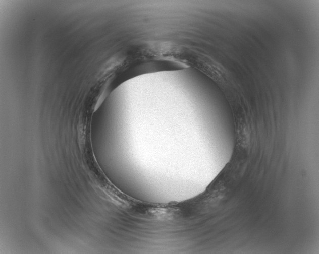 X0000078280558200611172059