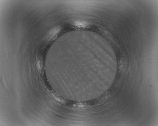 X0000078280559200611172059