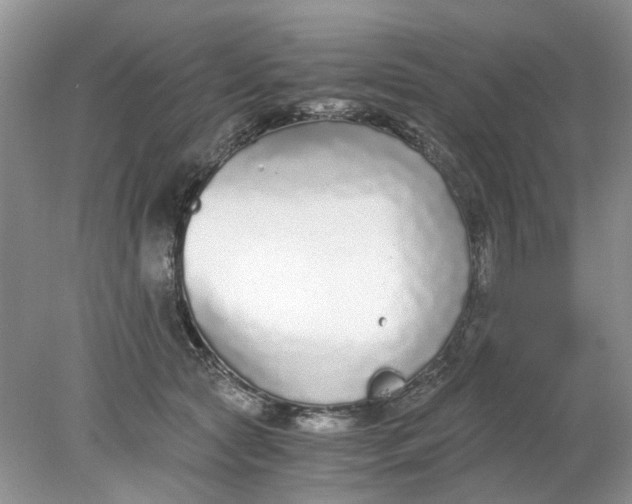 X0000078280561200611172059