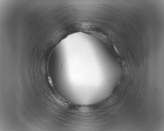 X0000078280562200611172059