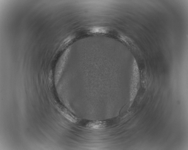 X0000078280563200611172059