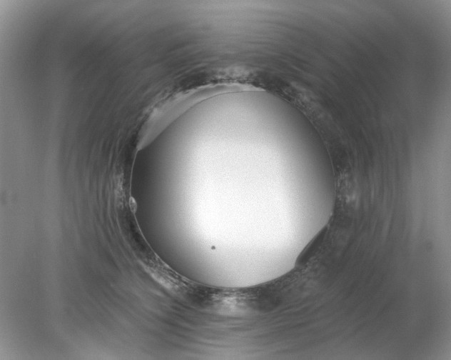 X0000078280564200611172059