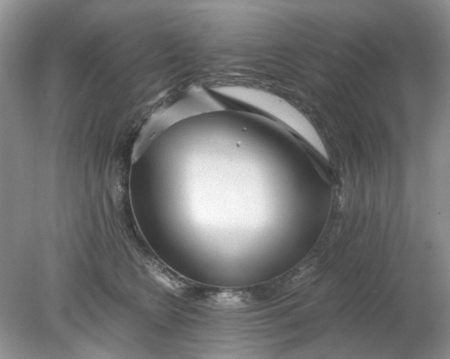 X0000078280566200611172059