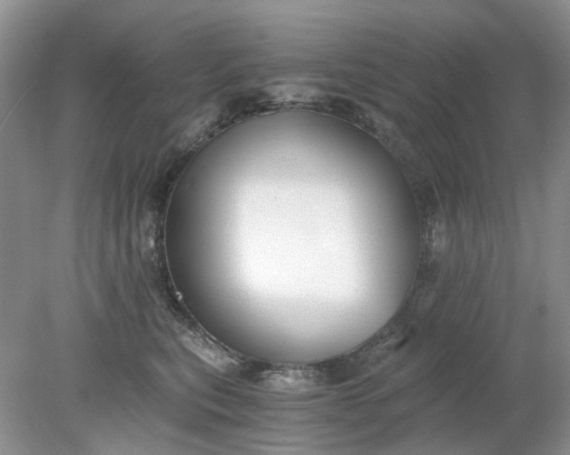 X0000078280567200611172059