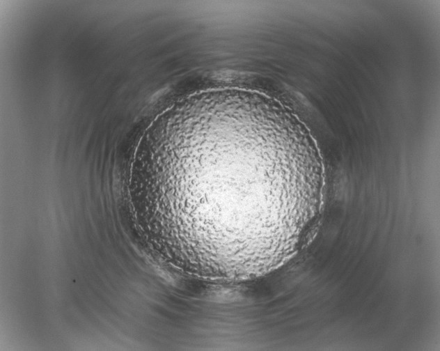 X0000078280569200611172059