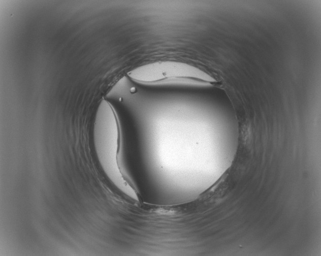 X0000078280570200611172059