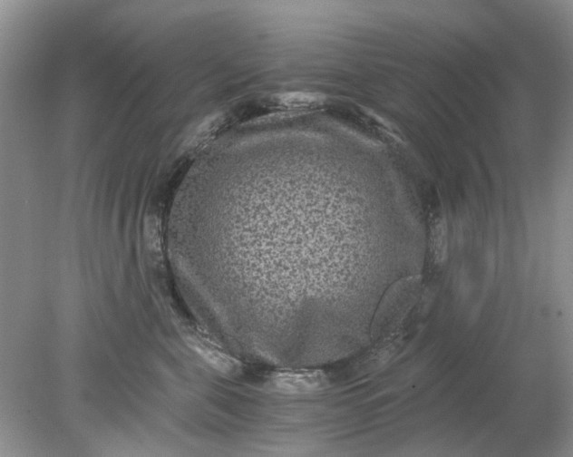 X0000078280571200611172059