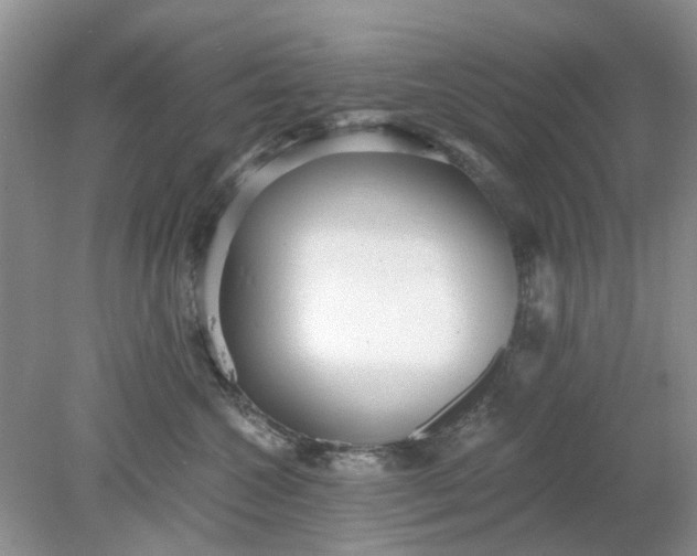 X0000078280572200611172059