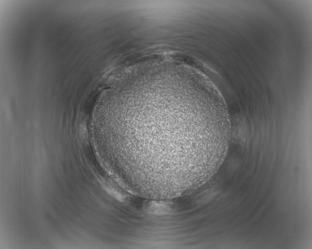 X0000078280573200611172059