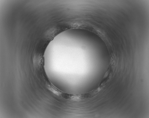 X0000078280574200611172059