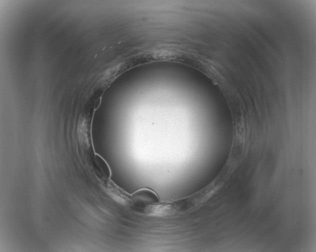 X0000078280575200611172059