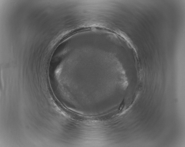 X0000078280577200611172059