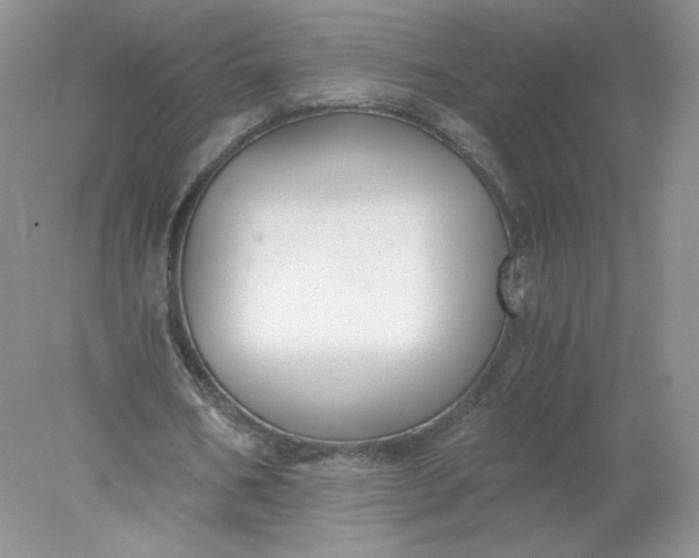 X0000078280578200611172059