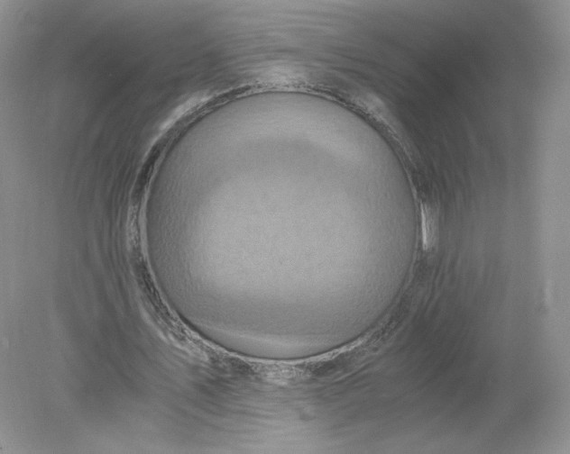 X0000078280579200611172059