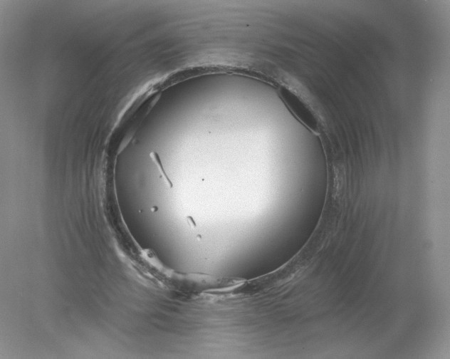 X0000078280580200611172059