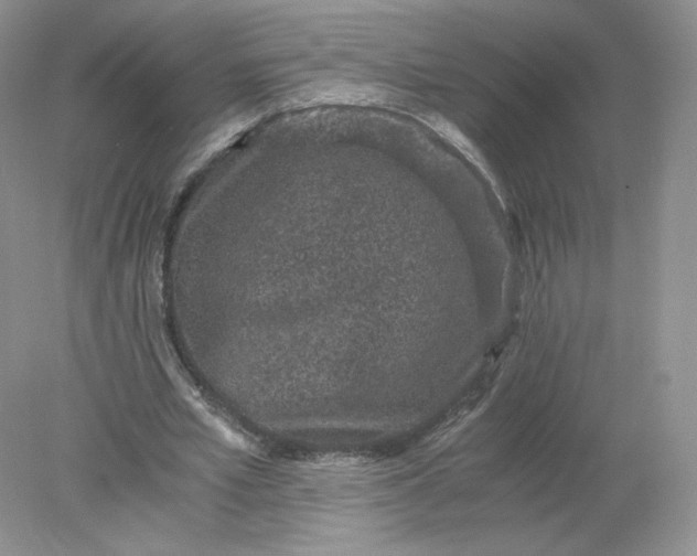 X0000078280581200611172059