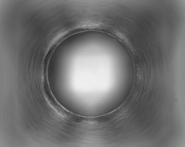 X0000078280582200611172059