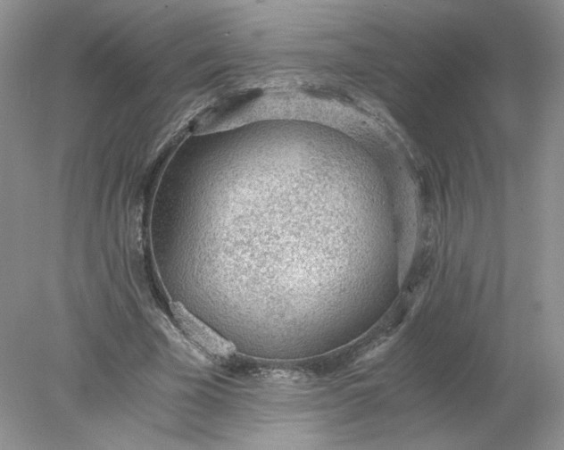 X0000078280585200611172058