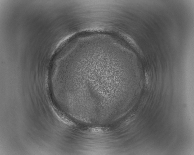 X0000078280588200611172058