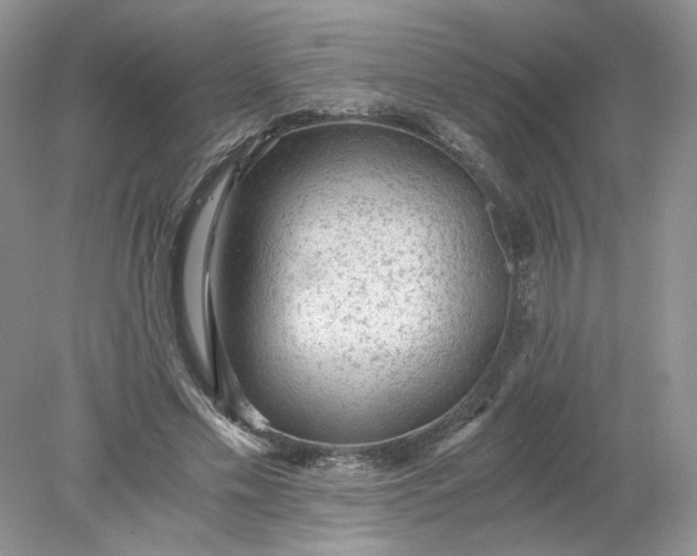 X0000078280589200611172058