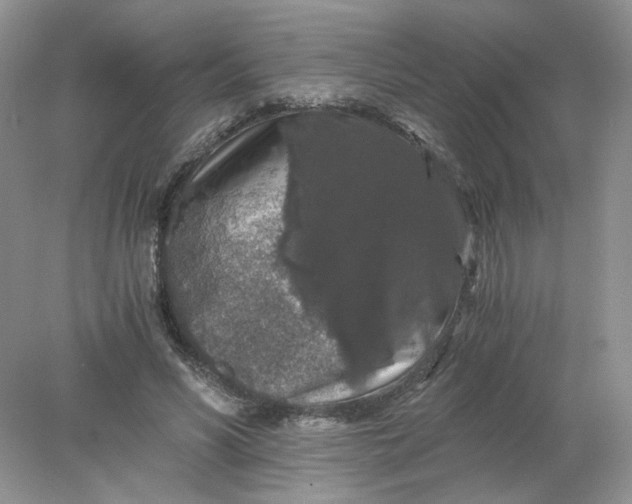 X0000078280590200611172058