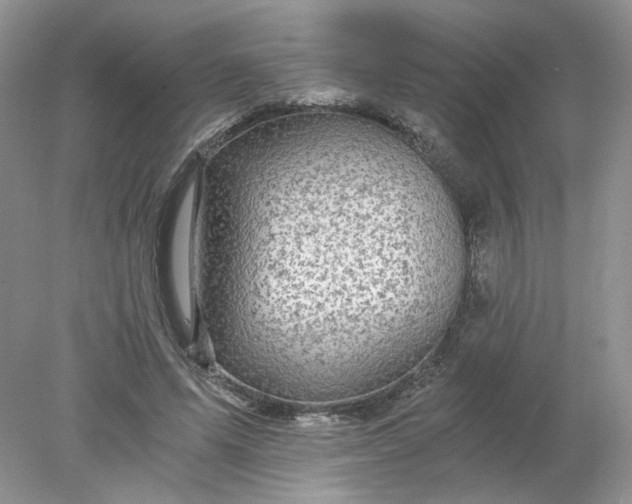 X0000078280591200611172058