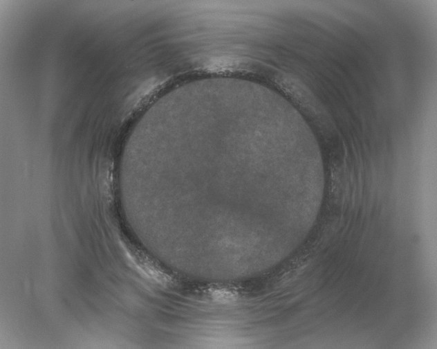 X0000078280592200611172058