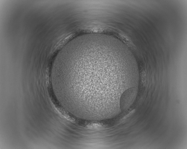 X0000078280594200611172058