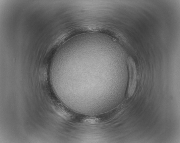 X0000078280595200611172058