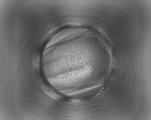 X0000078280596200611172058