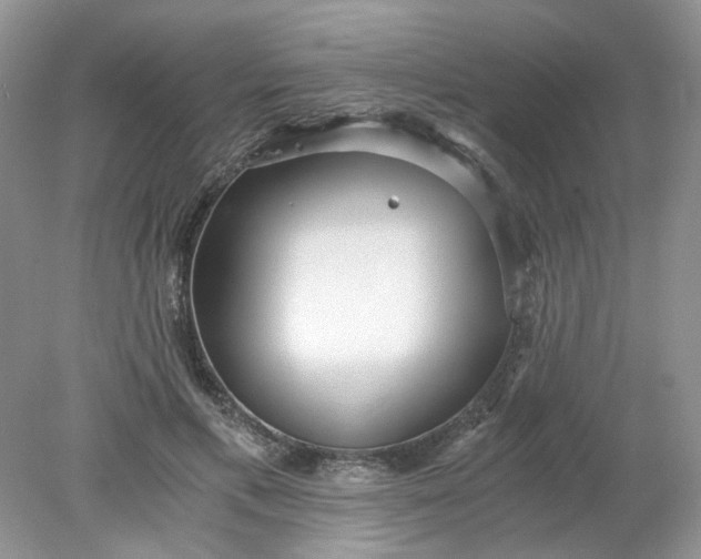 X0000078280597200611172058