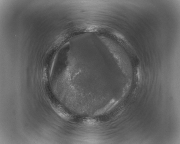 X0000078280598200611172058