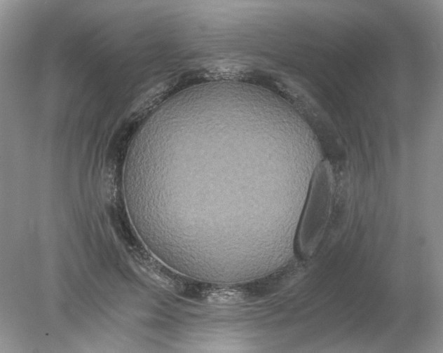 X0000078280599200611172058