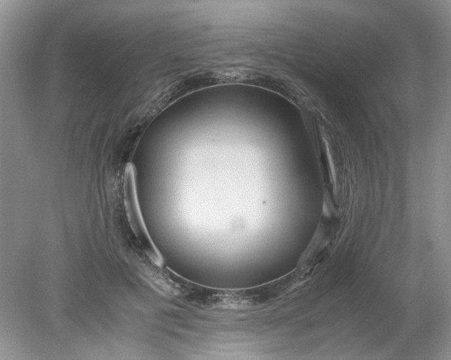 X0000078280601200611172058