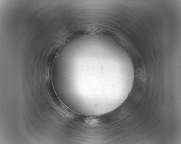 X0000078280602200611172058