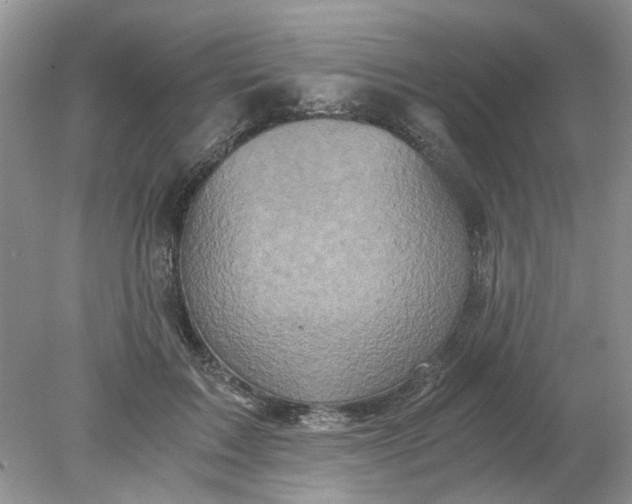 X0000078280603200611172058