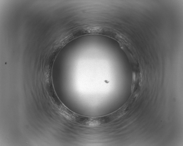 X0000078280604200611172058