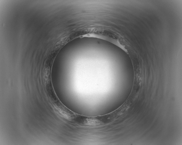 X0000078280605200611172058