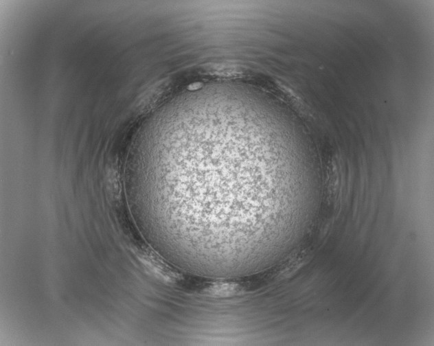 X0000078280609200611172058