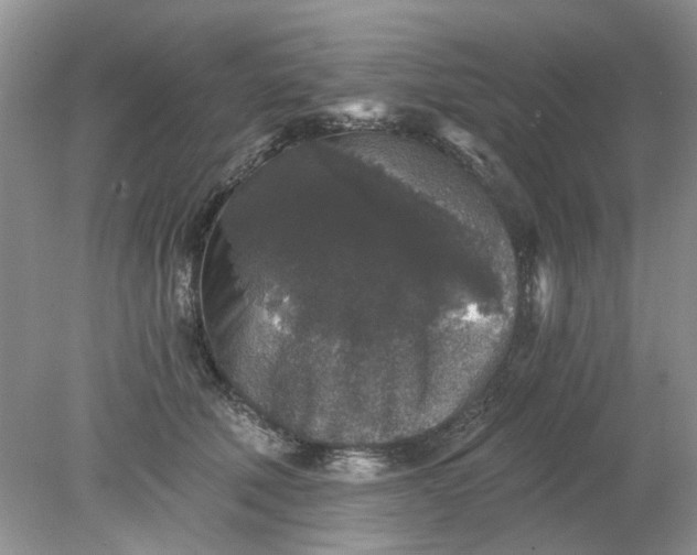 X0000078280610200611172058