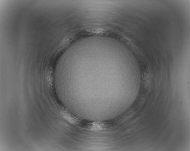 X0000078280612200611172058