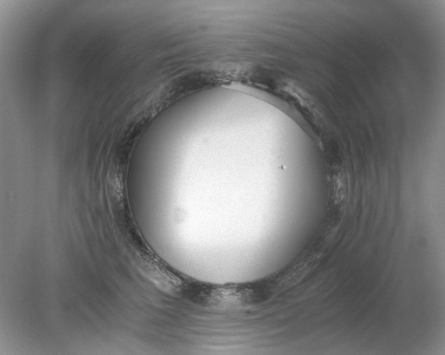 X0000078280613200611172058