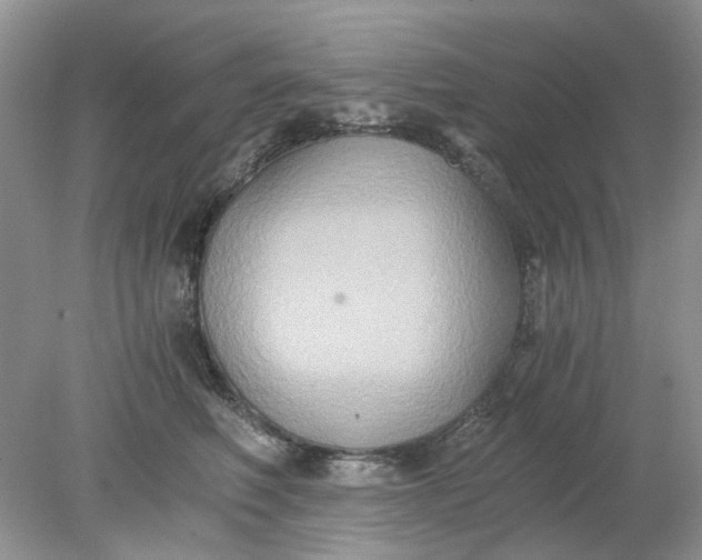 X0000078280614200611172058