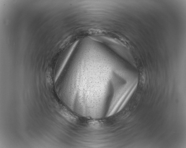 X0000078280616200611172058