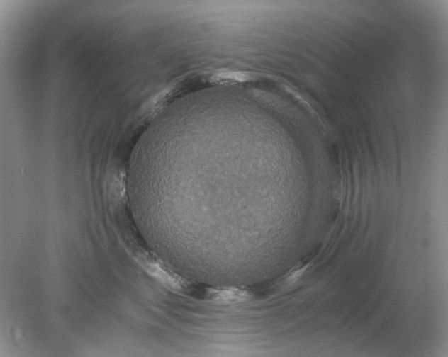 X0000078280621200611172058