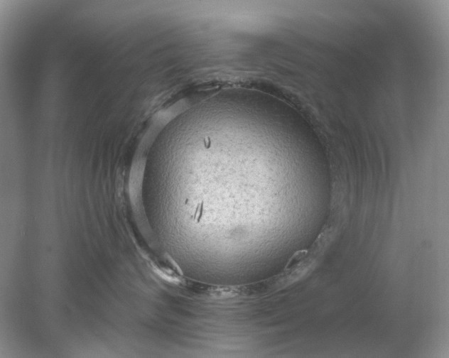 X0000078280624200611172058