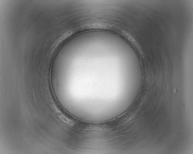 X0000078280625200611172057