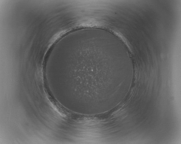 X0000078280626200611172057